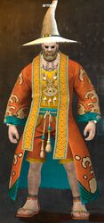 Seaside Scholar's armor norn male front.jpg