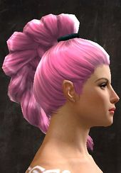 Unique norn female hair side 11.jpg