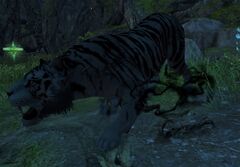 Void White Tiger.jpg