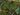 Willowalk Groves map.jpg