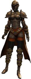 Ironclad Outfit