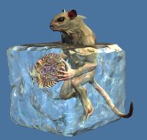 Mini Frozen Tik'Teek.jpg