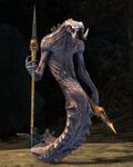 Risen Krait Nimross.jpg