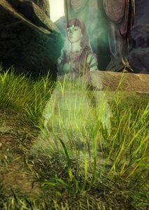 Veteran Ascension Pilgrim.jpg