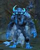 Shaman male