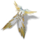 Herald of Aurene Cape (package).png