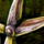Intricate Tailor's Tools.png