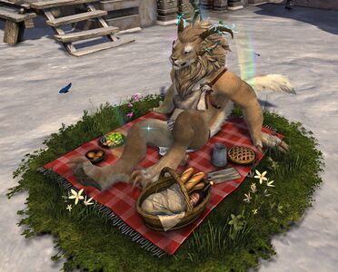 Picnic Blanket Chair charr female.jpg