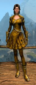 Appearance on light armor.