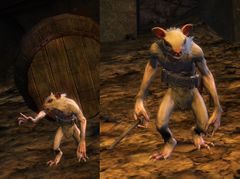 Skritt size comparison.jpg