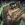 Strider's Tunic.png