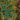 Thundertroll Swamp map.jpg