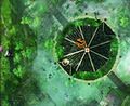 Thumbnail for version as of 01:43, 12 March 2022