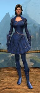 Appearance on light armor.