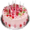 Birthday Cake.png