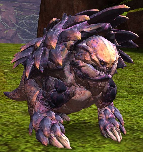 File:Bristleback.jpg