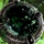 Crypt's Gloom.png