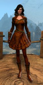 Appearance on light armor.
