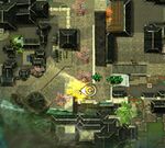 Little-foxes-in-the-big-city-2.jpg