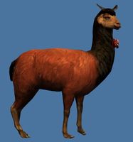 Mini Elegant Emperor Llama.jpg