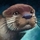 Mini River Otter.png