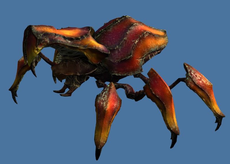 File:Mini Scarab.jpg