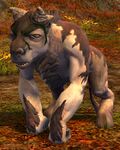 Minotaur Calf.jpg