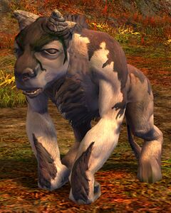 Minotaur Calf.jpg