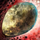 Mottled Canyon Griffon Egg.png