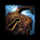 Quaggan's Key.png