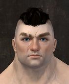 Unique norn male face front 5.jpg