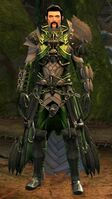Vigil Crusader (Bladed armor medium).jpg