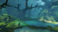 Weeping Glade.jpg