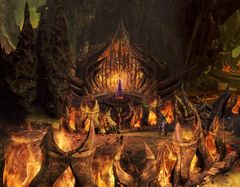 Western Maw.jpg