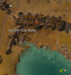 Work Hard for Now Plains of Ashford.jpg