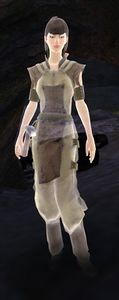 Xeniph.jpg