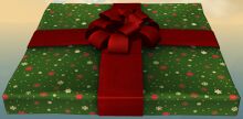 Green Wintersday Gift back.jpg