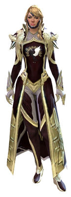 Guild Watchman armor human female front.jpg