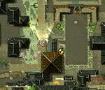 Little-foxes-in-the-big-city-35.jpg