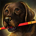 Thumbnail for version as of 23:47, 6 February 2018