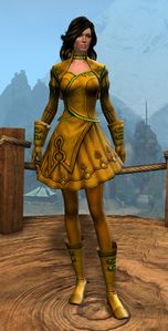 Appearance on light armor.