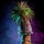 Potted Petticoat Palm.png