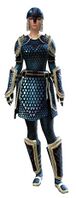 Scale armor human female front.jpg