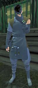 Teris.jpg