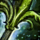 Viridian Antique Claymore.png