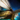 Winged Reverie Skiff Skin.png