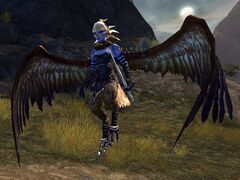 Young Harpy (Elonian).jpg