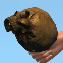Adam.jpg