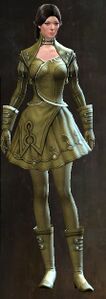 Appearance on light armor.