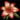 Alpine Lily (trophy).png